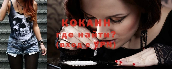 ГАЛЛЮЦИНОГЕННЫЕ ГРИБЫ Осинники