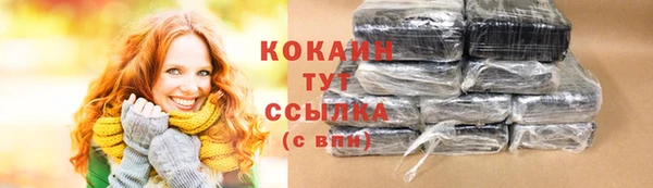 спайс Няндома