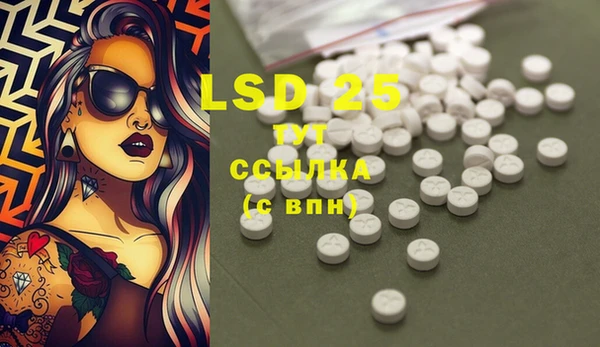 спайс Няндома